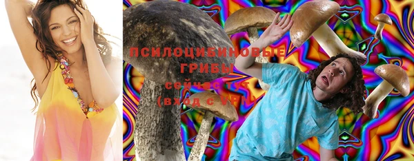 дживик Беломорск